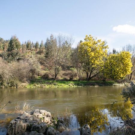Casinha Da Aldeia Villa Castelo Branco  Eksteriør bilde
