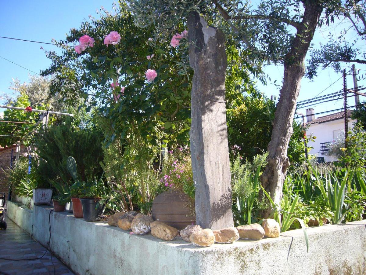 Casinha Da Aldeia Villa Castelo Branco  Eksteriør bilde