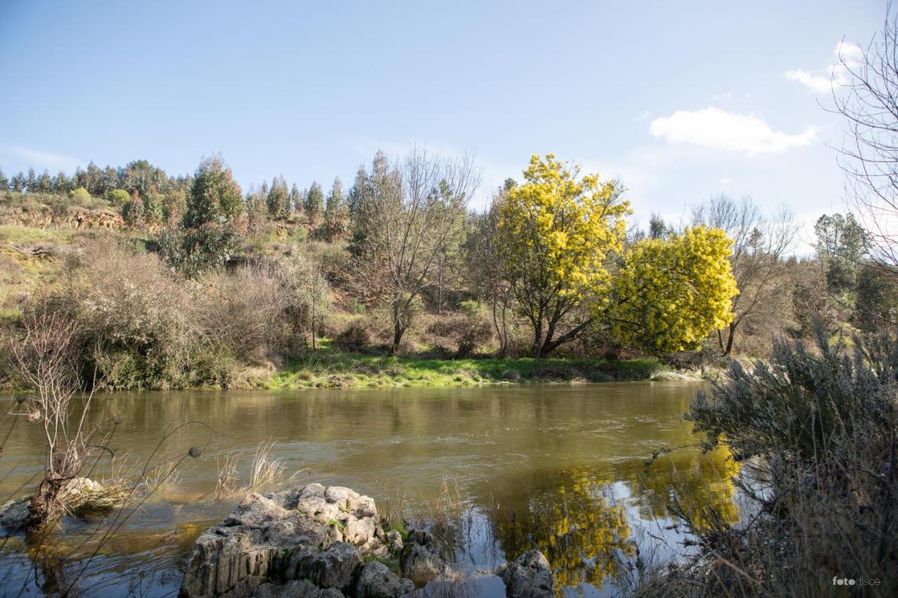 Casinha Da Aldeia Villa Castelo Branco  Eksteriør bilde