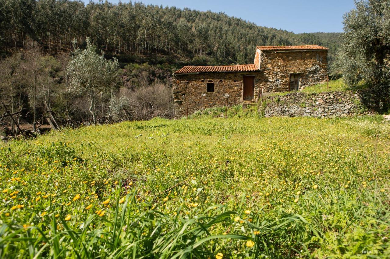 Casinha Da Aldeia Villa Castelo Branco  Eksteriør bilde