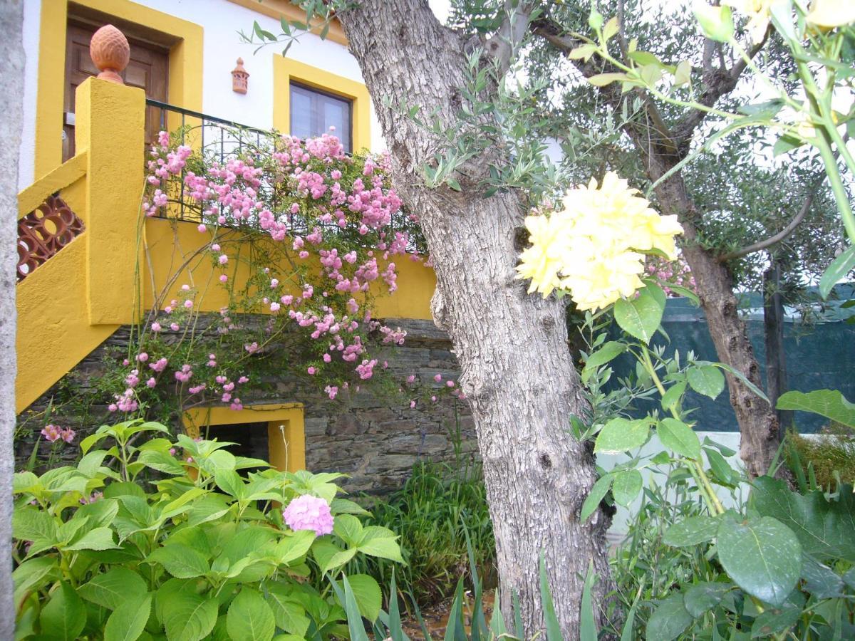 Casinha Da Aldeia Villa Castelo Branco  Eksteriør bilde