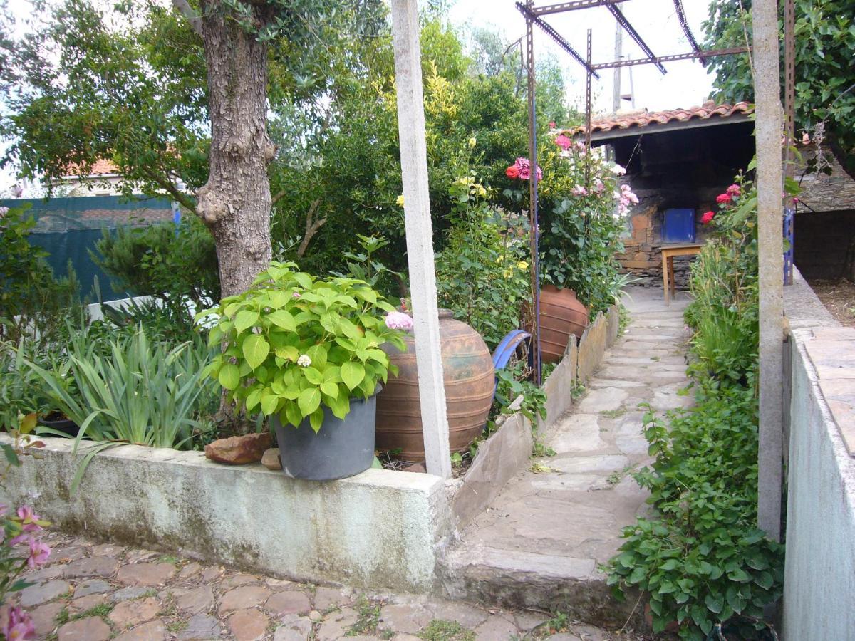 Casinha Da Aldeia Villa Castelo Branco  Eksteriør bilde